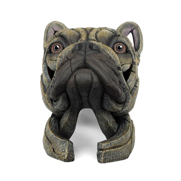 EDGE French BULLDOG Brown Bust Statue by Matt Buckley 12 x 9.5" - Picture 4 of 10